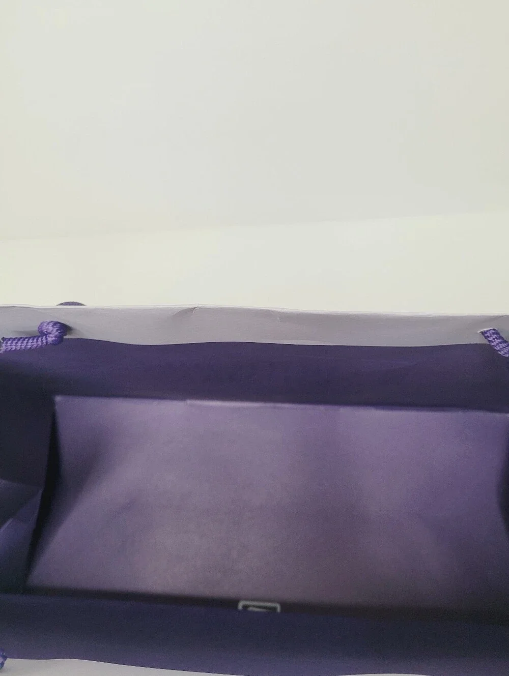 Authentic New Bergdorf Goodman Shopping Gift Bag rope handle 9 x 7.75 x 4.5